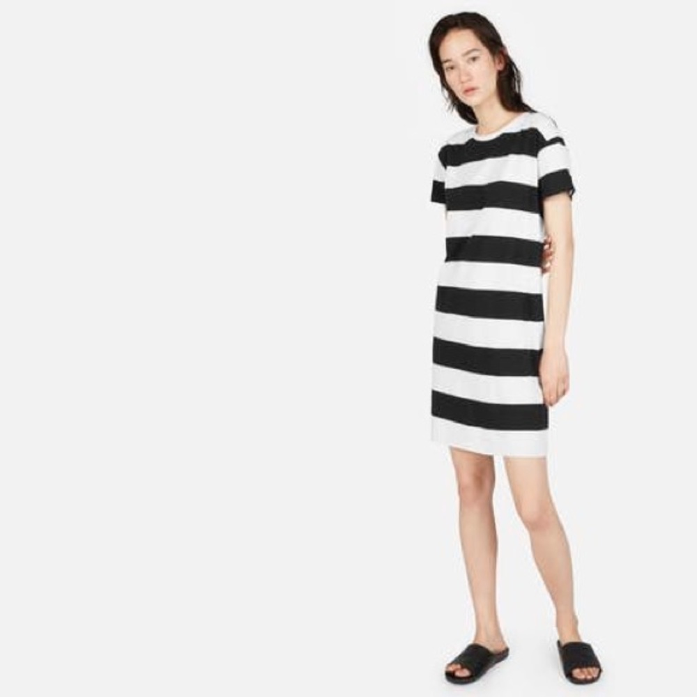 Everlane Cotton Box-Cut Tee Dress